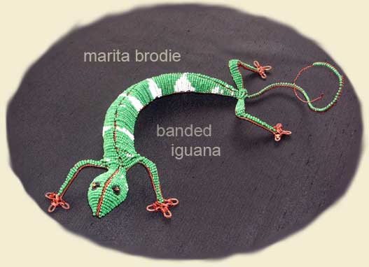 BANDED IGUANA | Marita Brodie Art from the Heart